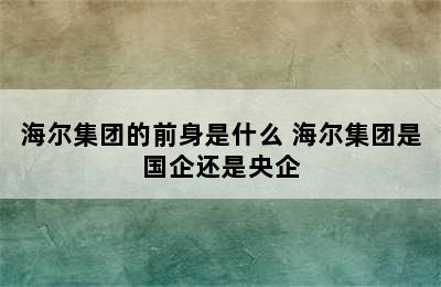 海尔集团的前身是什么 海尔集团是国企还是央企